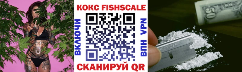купить наркотики сайты Буй блэк спрут сайт COCAIN Fish Scale