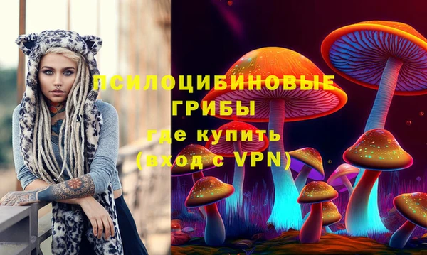 шишки Богородск