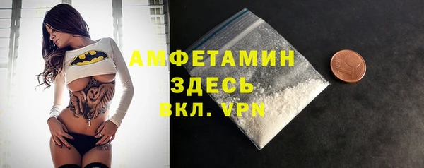 ECSTASY Богородицк