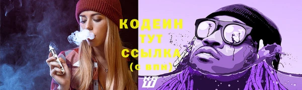 шишки Богородск