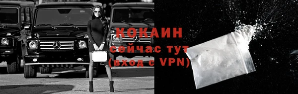 ECSTASY Богородицк