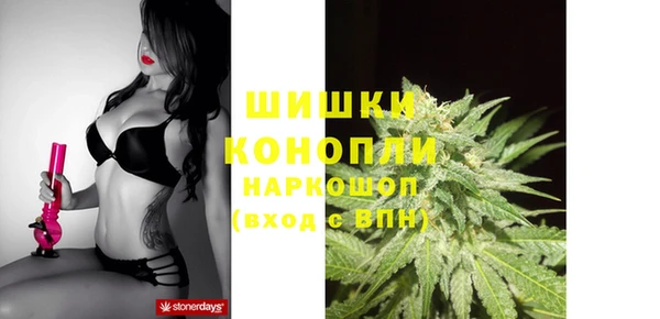 шишки Богородск