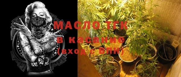 ECSTASY Богородицк