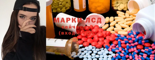 ECSTASY Богородицк