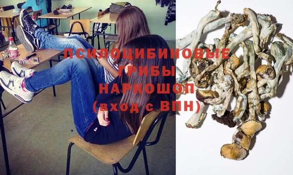 ECSTASY Богородицк