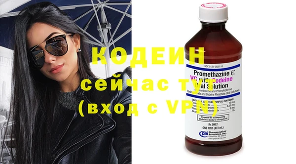 шишки Богородск