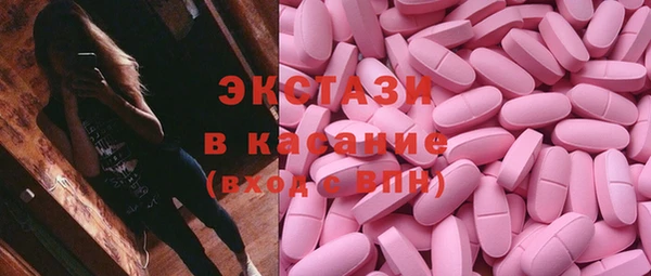 ECSTASY Богородицк