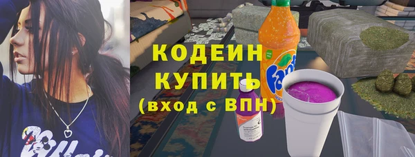 шишки Богородск