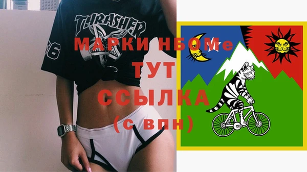 шишки Богородск