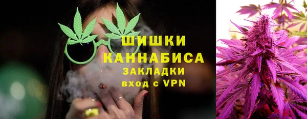 шишки Богородск